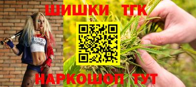 соль ск Славгород