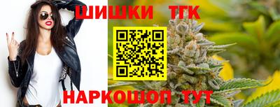 соль ск Славгород